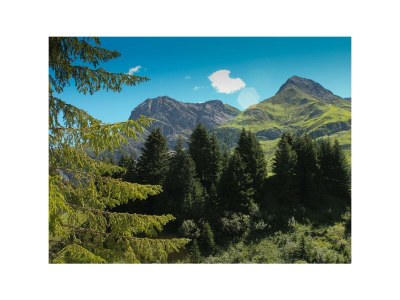 Apartment Appartement/Fewo, Bad, WC, 3 Schlafräume - Outdoor photo 42