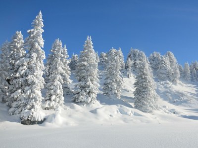 Apartment Spa Luxusappartement - Outdoor photo 5