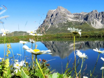 Apartment Lodge-Apart 'Der Weiße Ring' - Outdoor photo 17