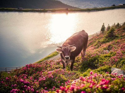 Apartment Lodge-Apart 'Der Weiße Ring' - Outdoor photo 20