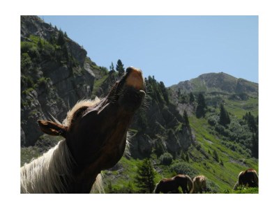 Apartment Lodge-Apart 'Der Weiße Ring' - Outdoor photo 35