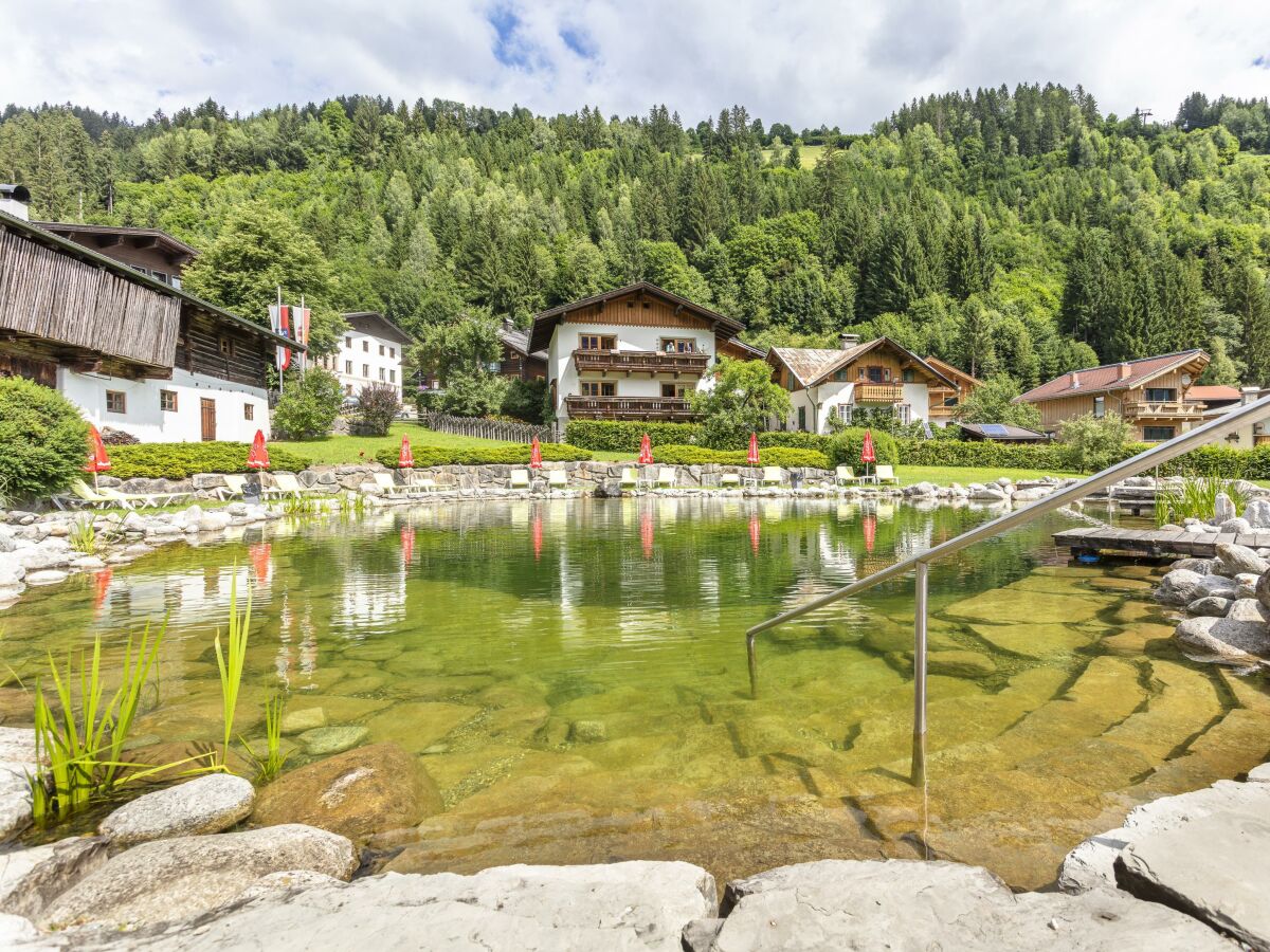 Apartment Apartment  an der Wildkogelbahn - Outdoor photo 3