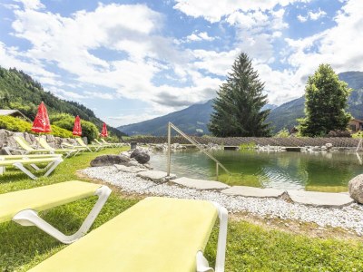 Apartment Apartment  an der Wildkogelbahn - Outdoor photo 38