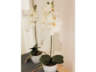 Apartment Apartment Bergliebe - Outdoor photo 31