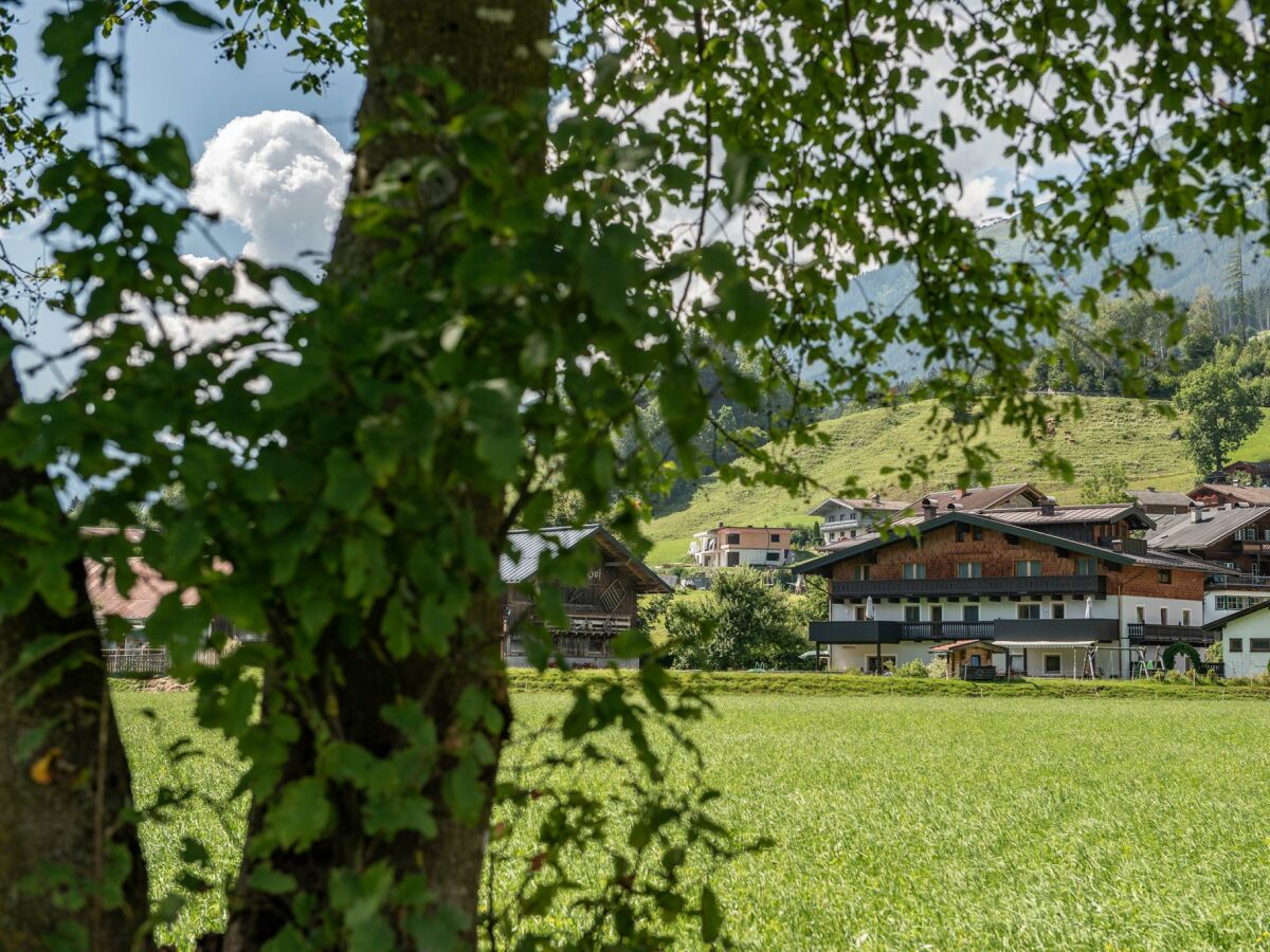 Apartment Ferienwohnung Wildkogel
