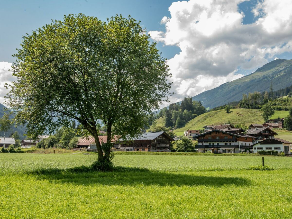 Apartment Ferienwohnung Wildkogel - Outdoor photo 4