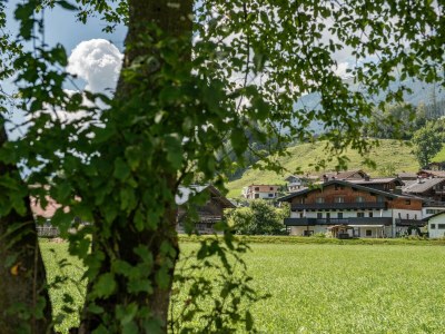 Apartment Ferienwohnung Wildkogel in Neukirchen am Großvenediger - Apartment