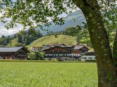 Apartment Ferienwohnung Wildkogel - Outdoor photo 3