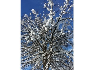 Apartment Ferienwohnung Wildkogel - Outdoor photo 11