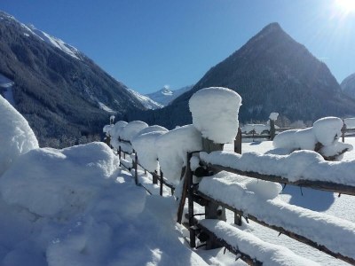 Apartment Ferienwohnung Wildkogel - Outdoor photo 15