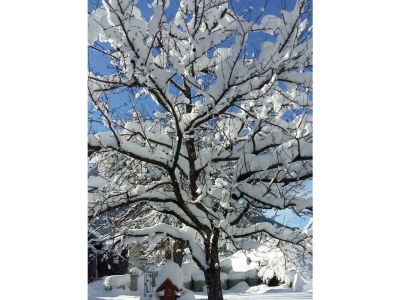 Apartment Ferienwohnung Wildkogel - Outdoor photo 16