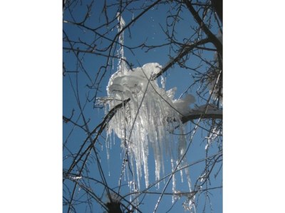 Apartment Ferienwohnung Wildkogel - Outdoor photo 20