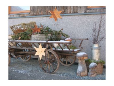 Apartment Ferienwohnung Wildkogel - Outdoor photo 21