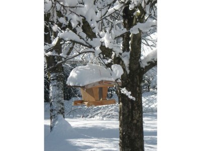 Apartment Ferienwohnung Wildkogel - Outdoor photo 22