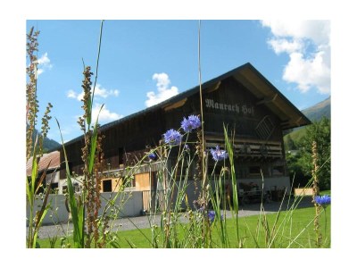 Apartment Ferienwohnung Wildkogel - Outdoor photo 31