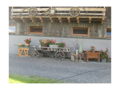 Apartment Ferienwohnung Wildkogel - Outdoor photo 32