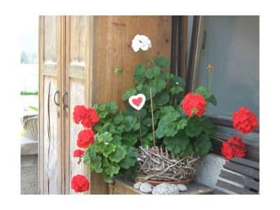 Apartment Ferienwohnung Wildkogel - Outdoor photo 35