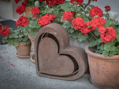 Apartment Ferienwohnung Wildkogel - Outdoor photo 40