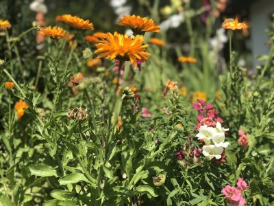 Apartment Ferienwohnung Wildkogel - Outdoor photo 42