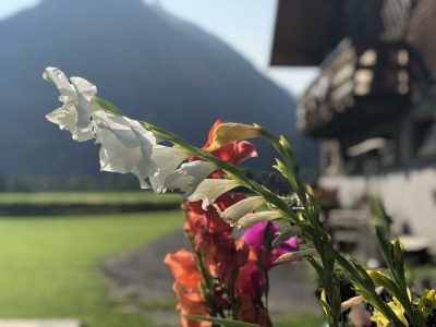 Apartment Ferienwohnung Wildkogel - Outdoor photo 43