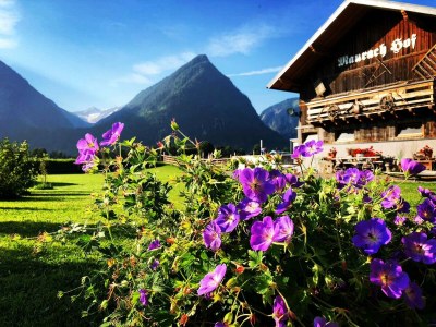 Apartment Ferienwohnung Wildkogel - Outdoor photo 45