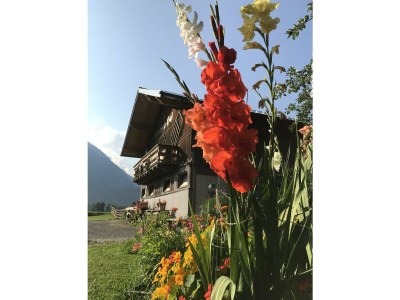 Apartment Ferienwohnung Wildkogel - Outdoor photo 46