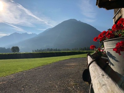 Apartment Ferienwohnung Wildkogel - Outdoor photo 47