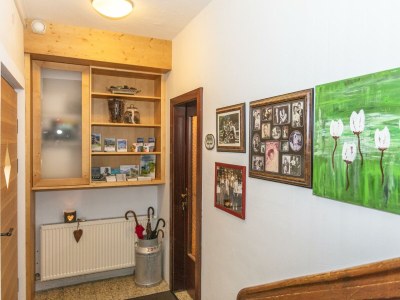 Apartment Ferienwohnung Wildkogel - Outdoor photo 50