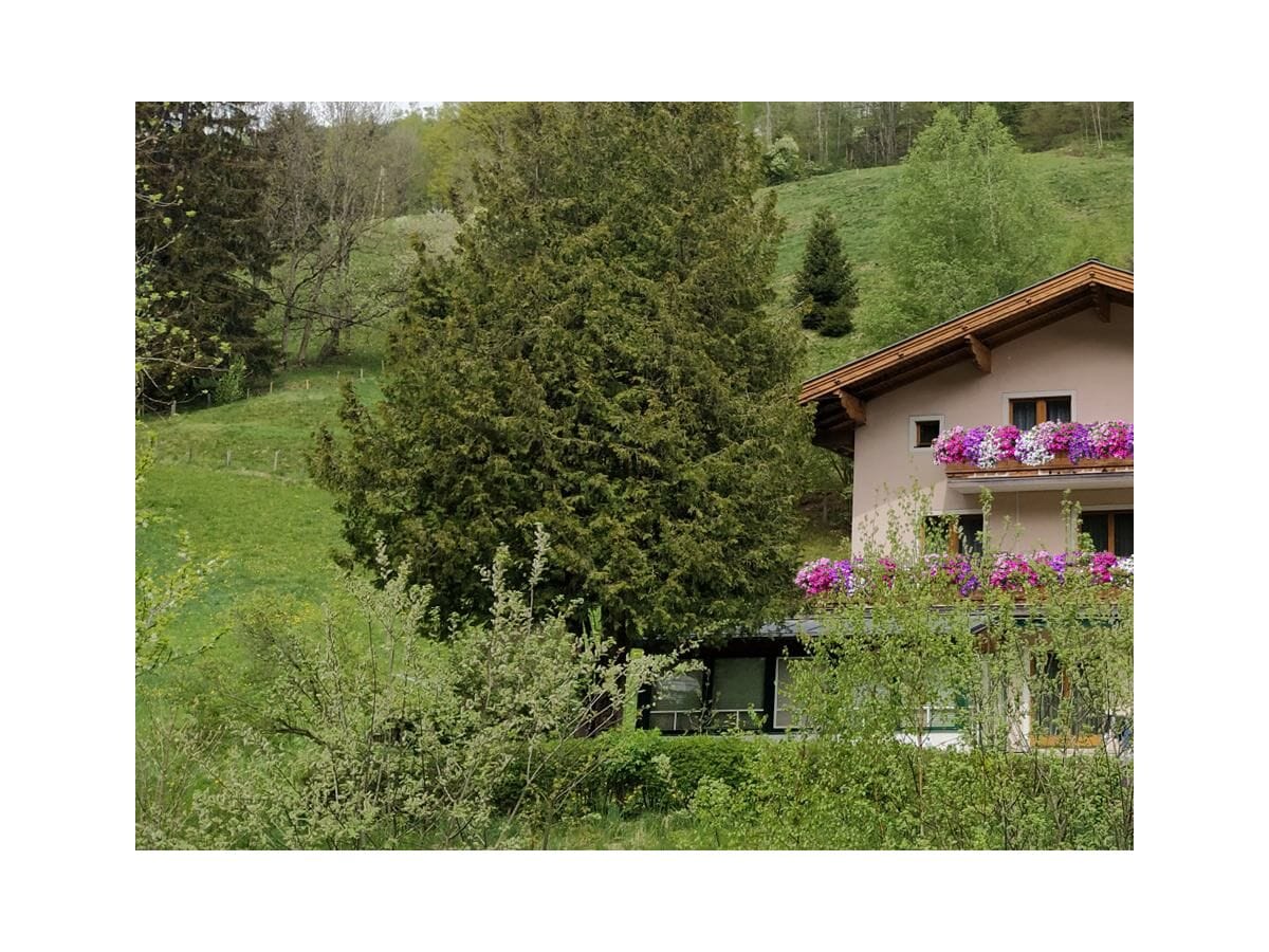 Apartment Apartment/1 Schlafraum/Dusche od. Bad,WC