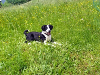 Apartment Apartment/1 Schlafraum/Dusche od. Bad,WC - Outdoor photo 3