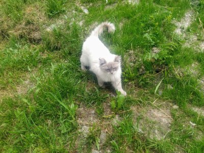 Apartment Apartment/1 Schlafraum/Dusche od. Bad,WC - Outdoor photo 6