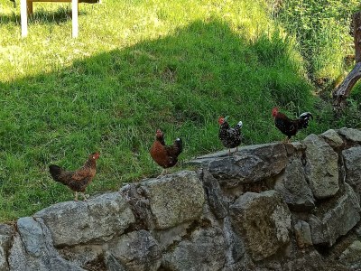 Apartment Apartment/1 Schlafraum/Dusche od. Bad,WC - Outdoor photo 7