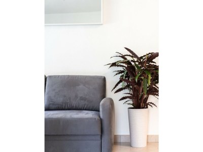 Apartment 711A Apartment Garden 14 - Outdoor photo 9