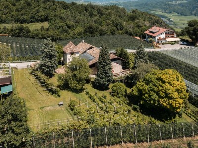 Apartment 718A Apartment  Ansitz Wieshof in Caldaro sulla strada del vino - Apartment