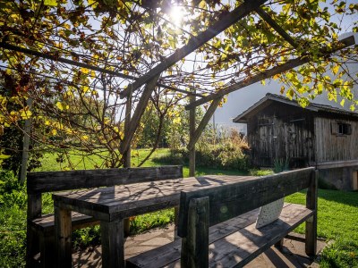 Apartment 725B  Apartment Haus Edith - Outdoor photo 23