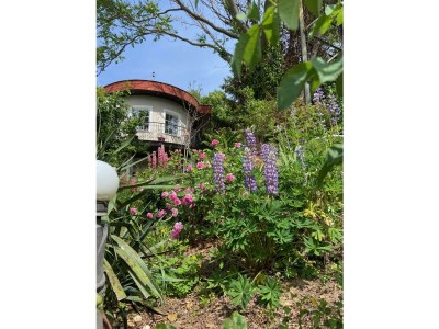 Apartment Appartement/Fewo, Dusche und Badewanne, 2 Schlafrä - Outdoor photo 8