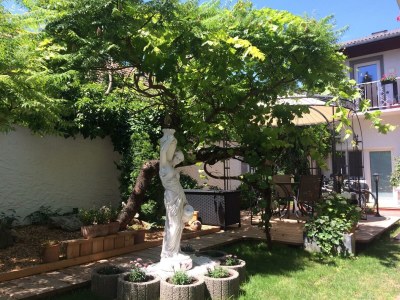 Apartment Rose Cottage - Outdoor photo 11