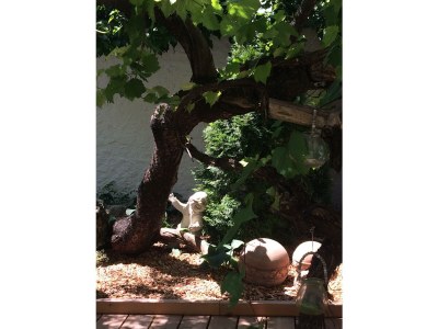 Apartment Rose Cottage - Outdoor photo 13