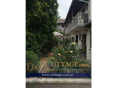 Apartment Rose Cottage - Outdoor photo 18