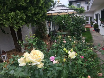 Apartment Rose Cottage - Outdoor photo 28