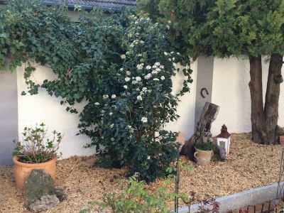 Apartment Rose Cottage - Outdoor photo 33