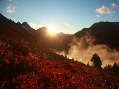 Apartment "Apartment 2" (8-13 Pers.)/5 Schlafräume/DU, WC - Outdoor photo 8