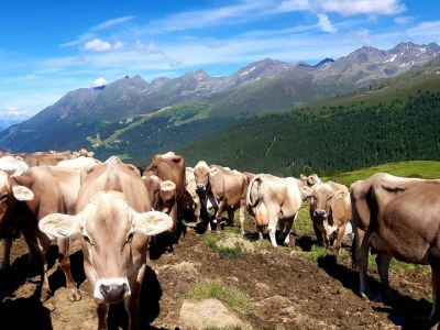 Apartment Jagdhütte - Outdoor photo 19