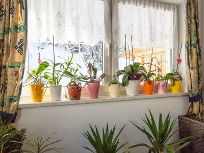 Apartment TOP 1 für 4-8 Personen - Outdoor photo 5