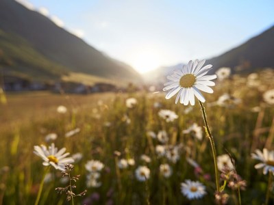 Apartment TOP 1 für 4-8 Personen - Outdoor photo 9