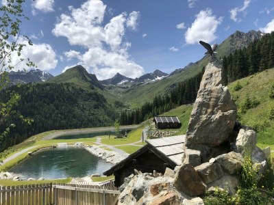 Apartment Apartment TYROL DELUXE 60 m² (4-5 Pers.) - Outdoor photo 55