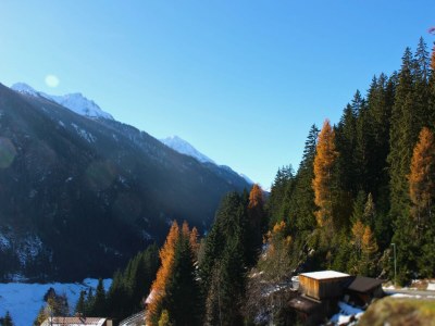 Apartment Lisa 4-6 Personen Haus Waldheim - Features photo 11