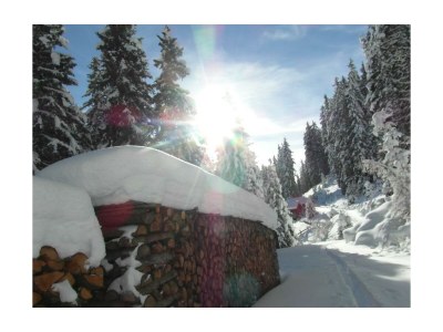 Apartment Ferienhaus/4 od. mehr Schlafr./Du od Bad - Outdoor photo 9