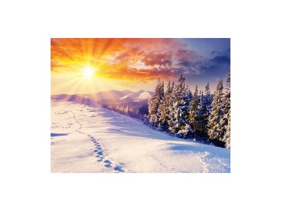 Apartment Wohnung D 4-6 Pers./2 Schlafräume/DU,WC - Outdoor photo 12