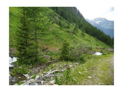 Apartment "TOP 4 Dias "(4-5 Pers.)2 Schlafz./Du o.Bad,WC - Outdoor photo 9